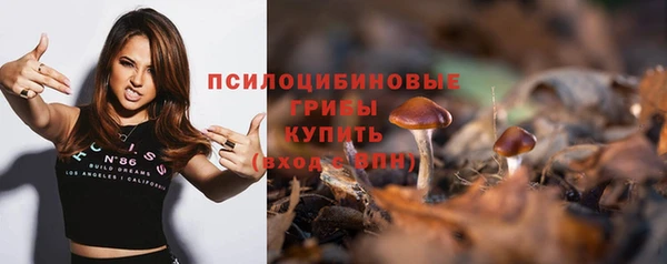 мдпв Рославль