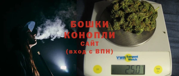 мдпв Рославль