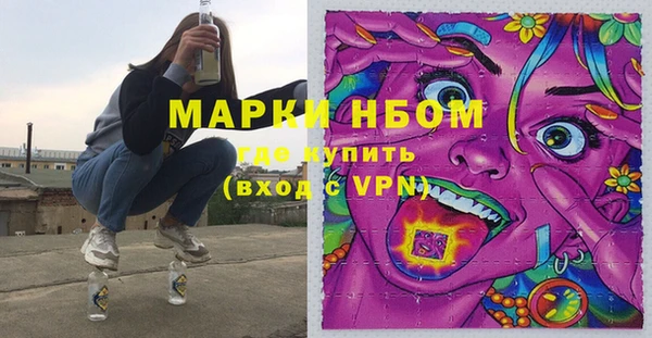 мдпв Рославль