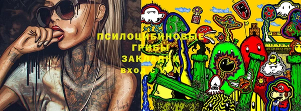 мдпв Рославль