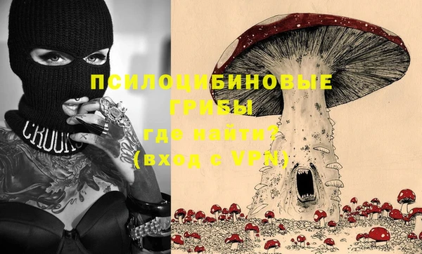 мдпв Рославль