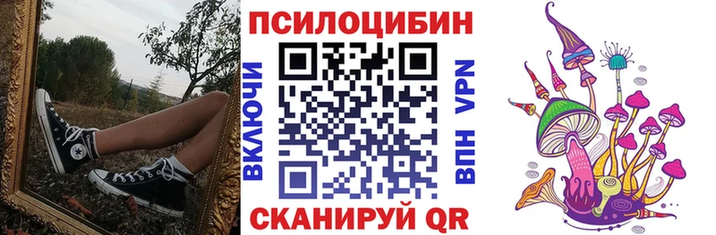 дарнет шоп kraken онион Псилоцибиновые грибы Magic Shrooms Иноземцево